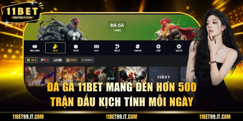 Đá gà 11BET mang đến hơn 500 trận đấu kịch tính mỗi ngày