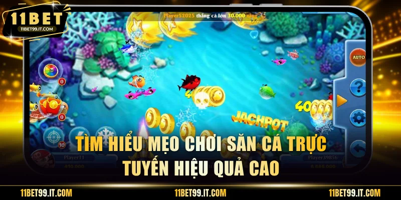Tìm hiểu mẹo chơi săn cá trực tuyến hiệu quả cao